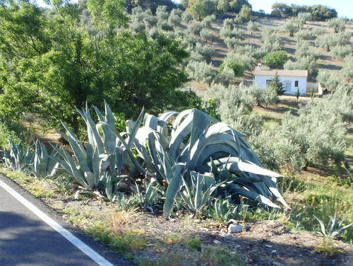 On the road to Venta Valero.
